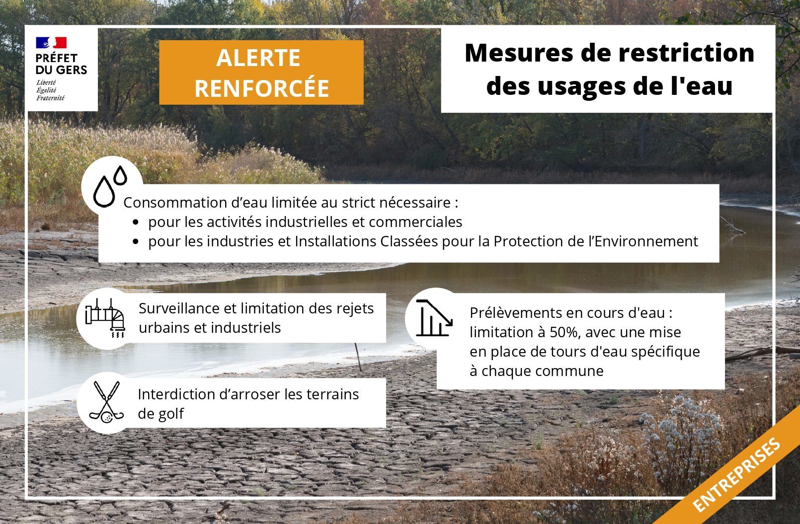 298613580_428089696019696_85429011638978422_n.jpg (436 KB)