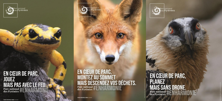 Annotation 2022-03-29 154936.png (444 KB)