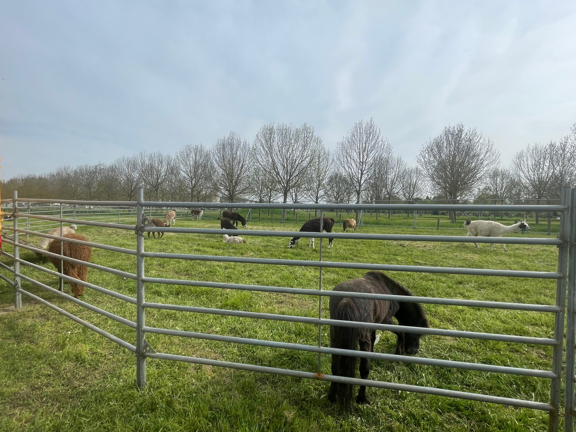 IMG_4954.jpg (1.25 MB)