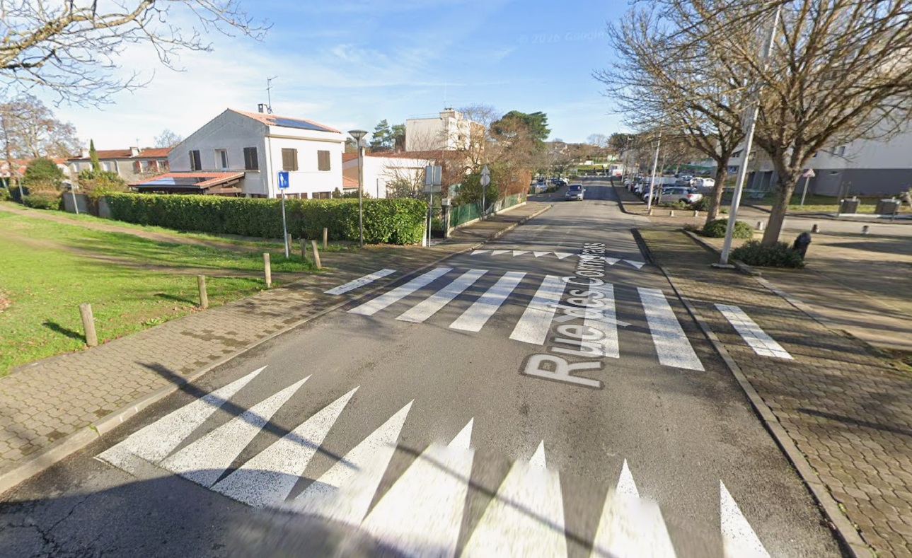 cormorans.jpg (405 KB)