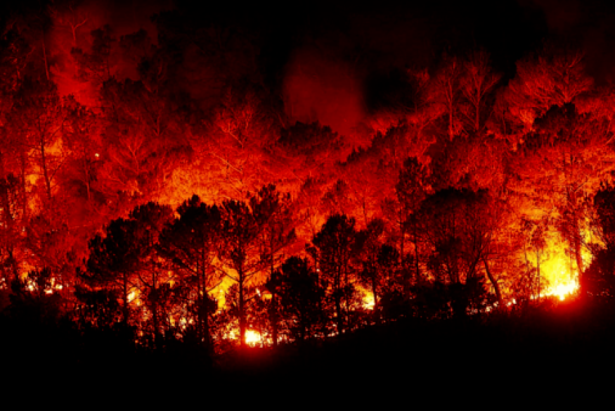 Incendies en Gironde : un formidable élan de solidarité dans le Gers avec 452 offres d'hébergement