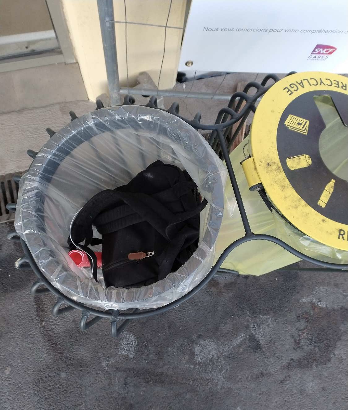 picture (8).jpeg (302 KB)